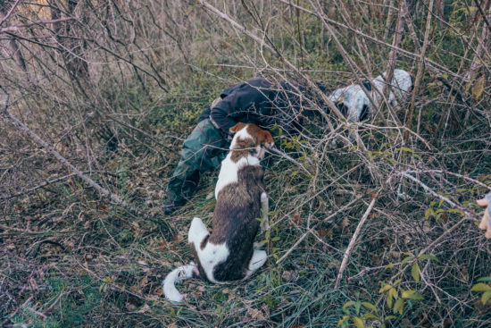 Caccia al tartufo con i cani sui monti Sibillini