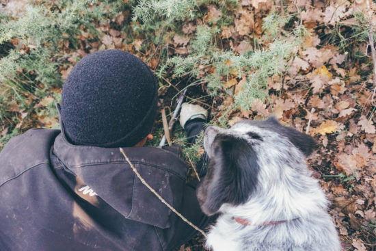 Caccia al tartufo con i cani sui monti Sibillini